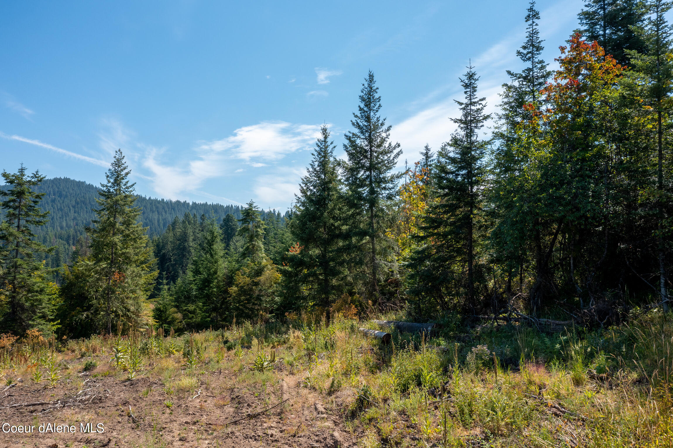 NNA E Bell Canyon Rd, Harrison, Idaho image 22