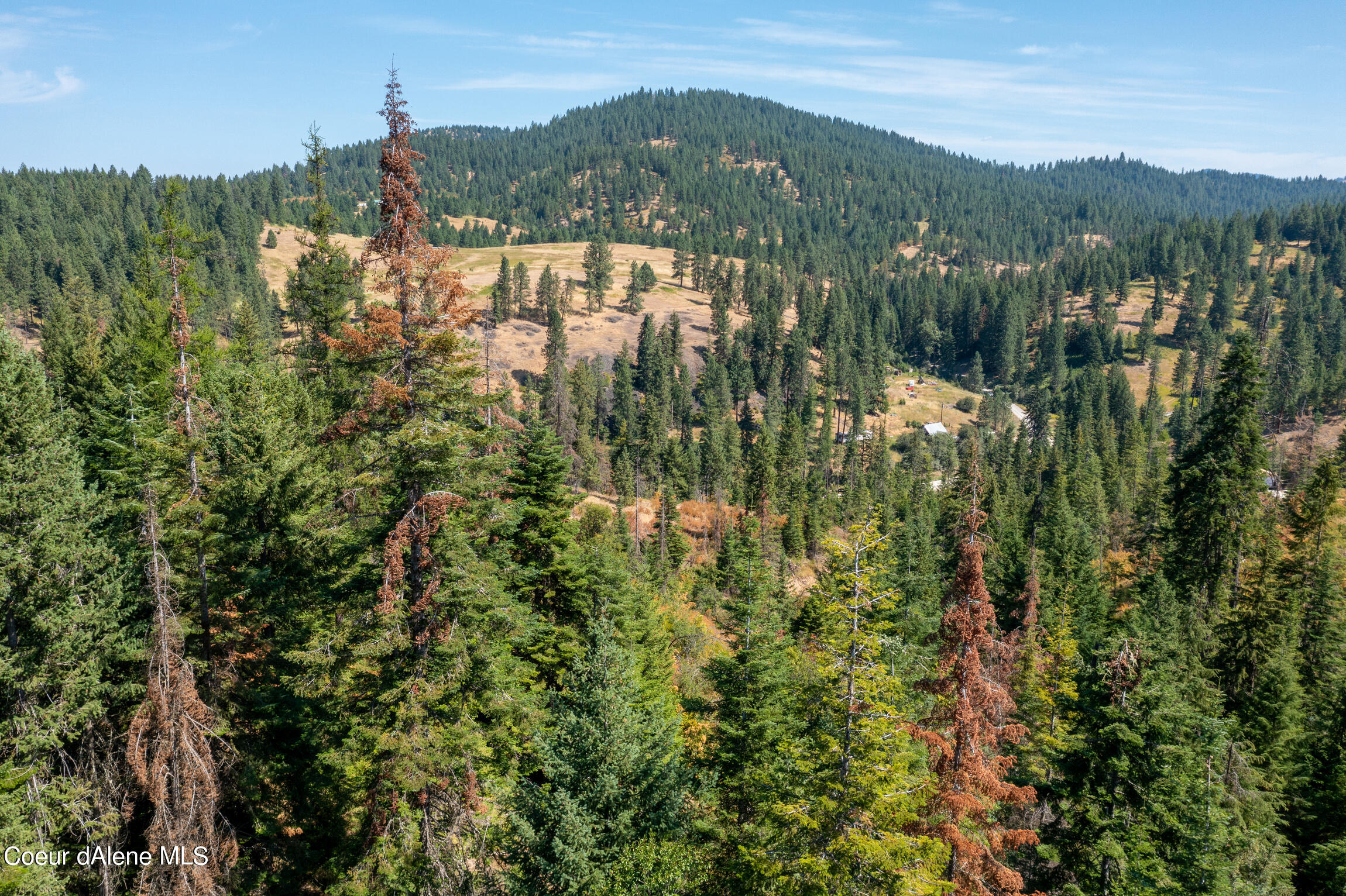 NNA E Bell Canyon Rd, Harrison, Idaho image 27