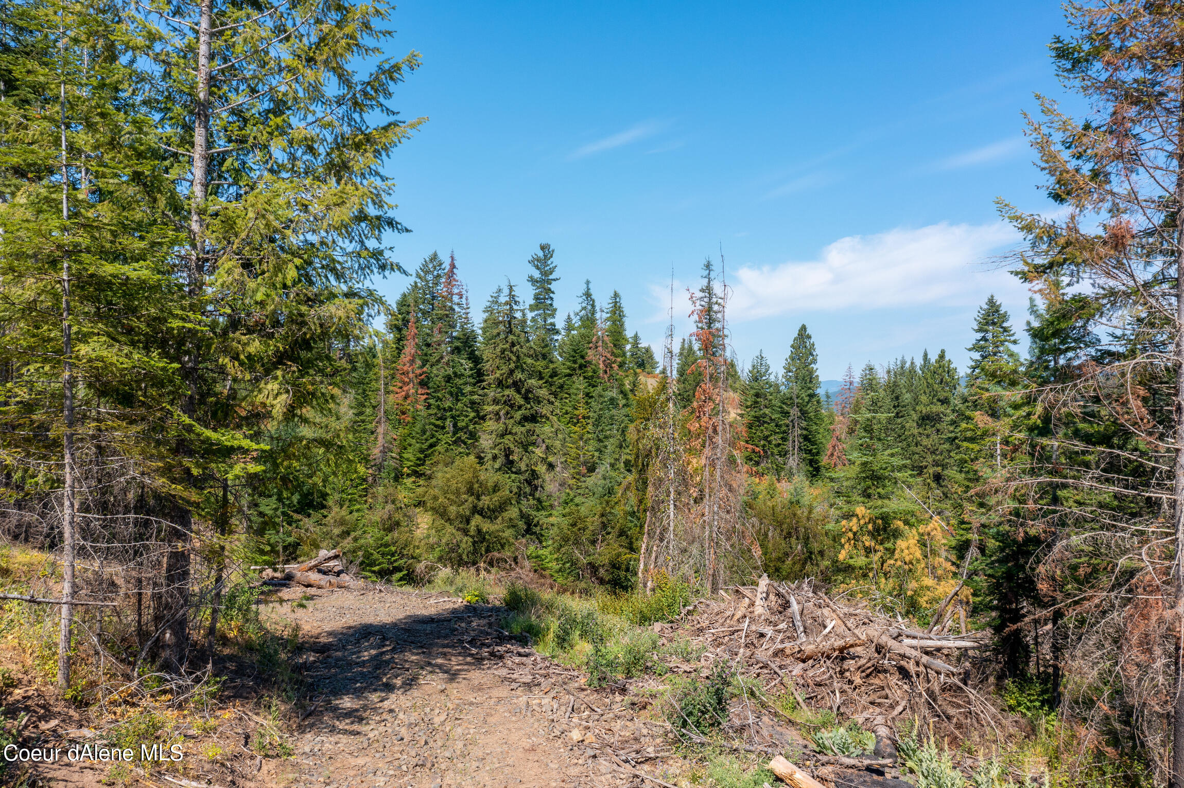 NNA E Bell Canyon Rd, Harrison, Idaho image 25