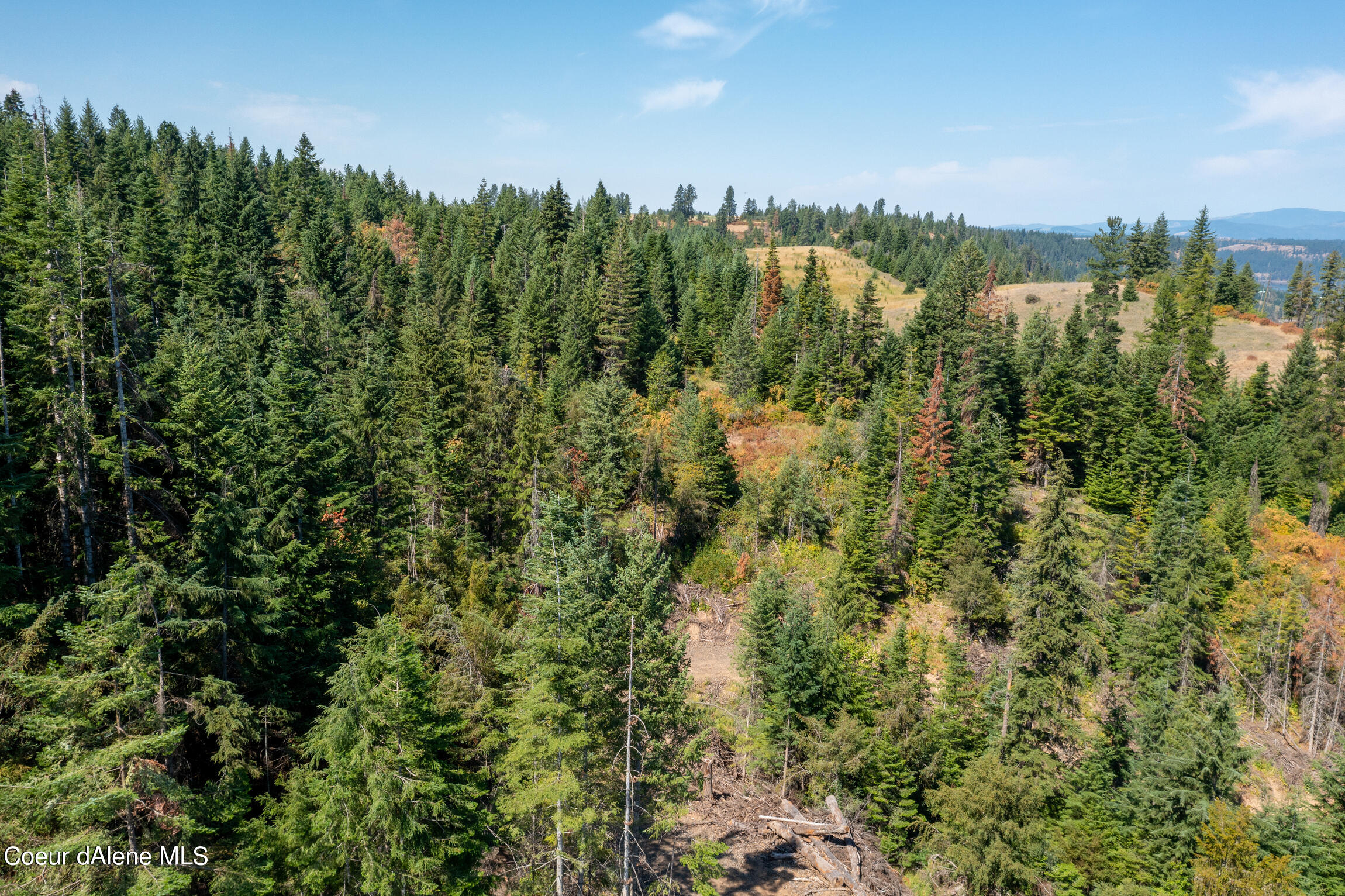 NNA E Bell Canyon Rd, Harrison, Idaho image 17