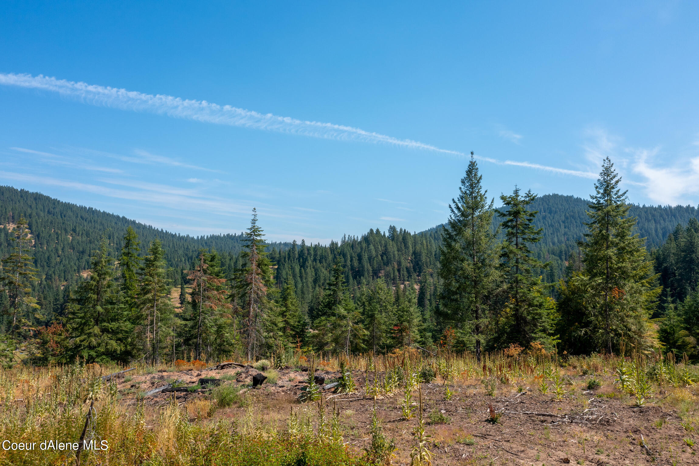 NNA E Bell Canyon Rd, Harrison, Idaho image 23