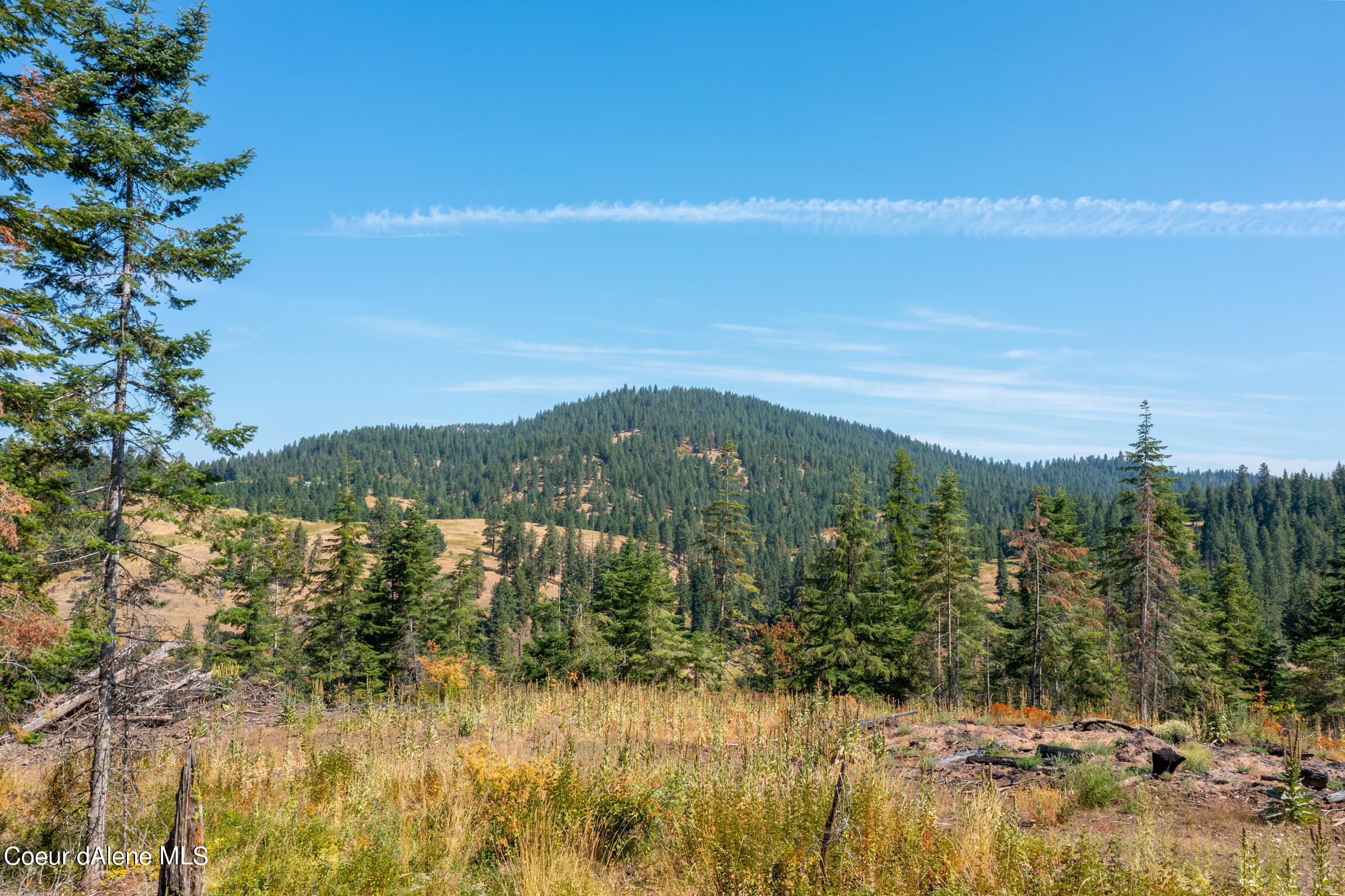 NNA E Bell Canyon Rd, Harrison, Idaho image 24