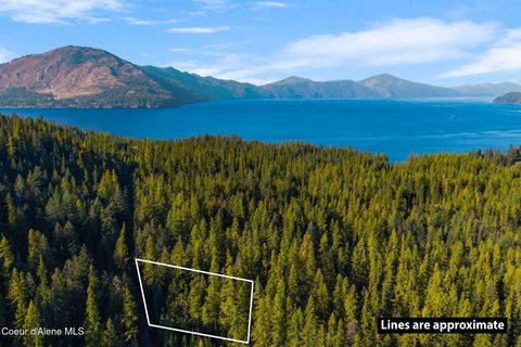 Homes For Sale - NNA Big Buck Rd Rd<br/> Bayview, ID 83803