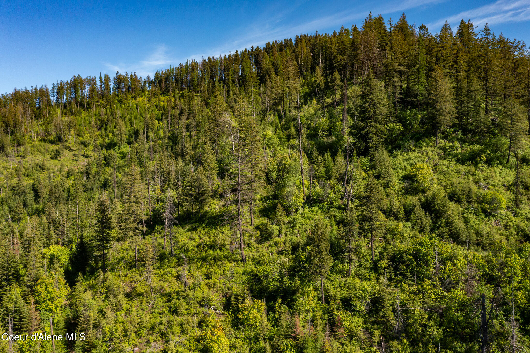 NKA 60-AC Eichs Rd, Cocolalla, Alaska image 42