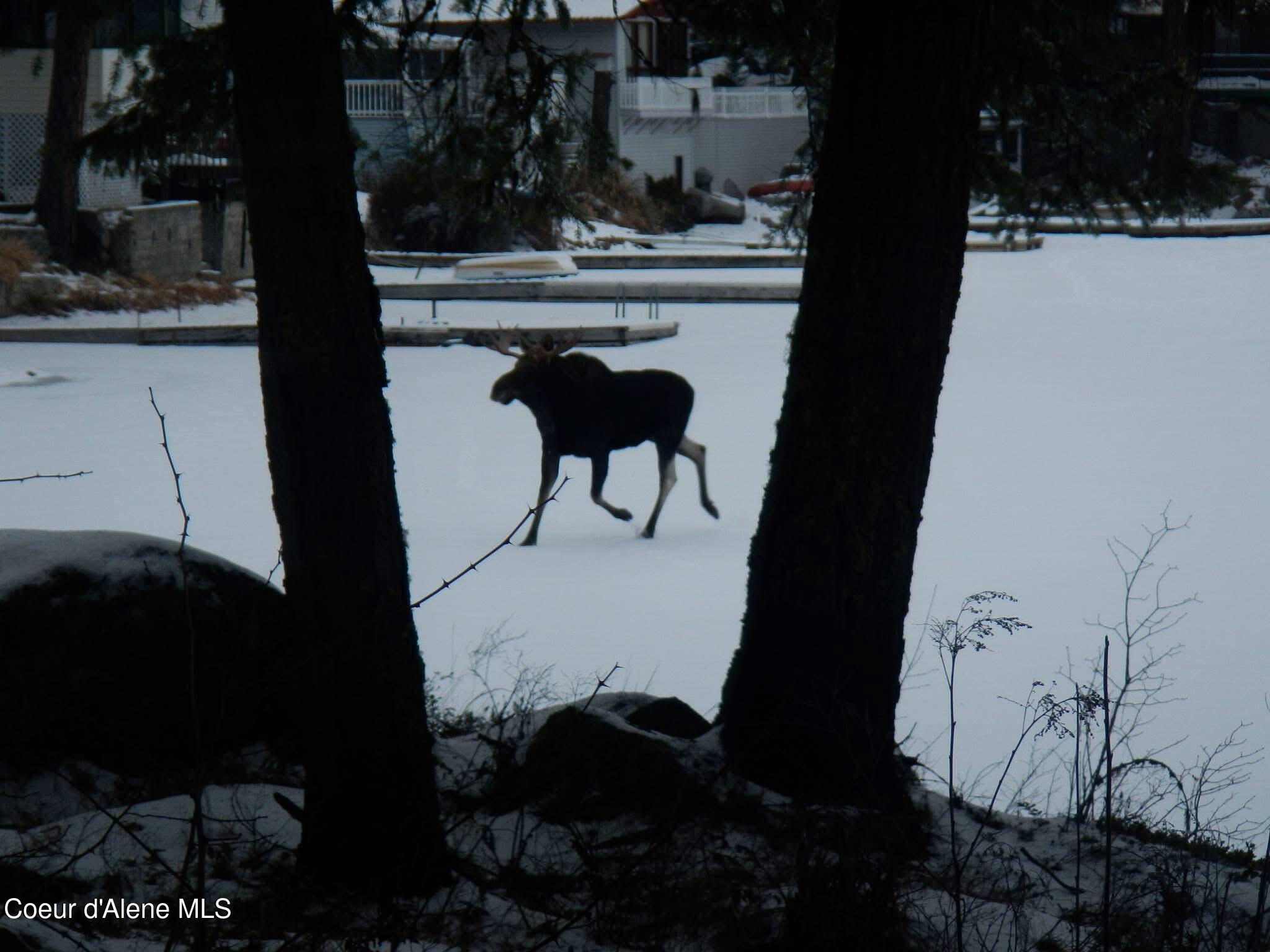 50 W Poirier Rd, Newport, Alaska image 46