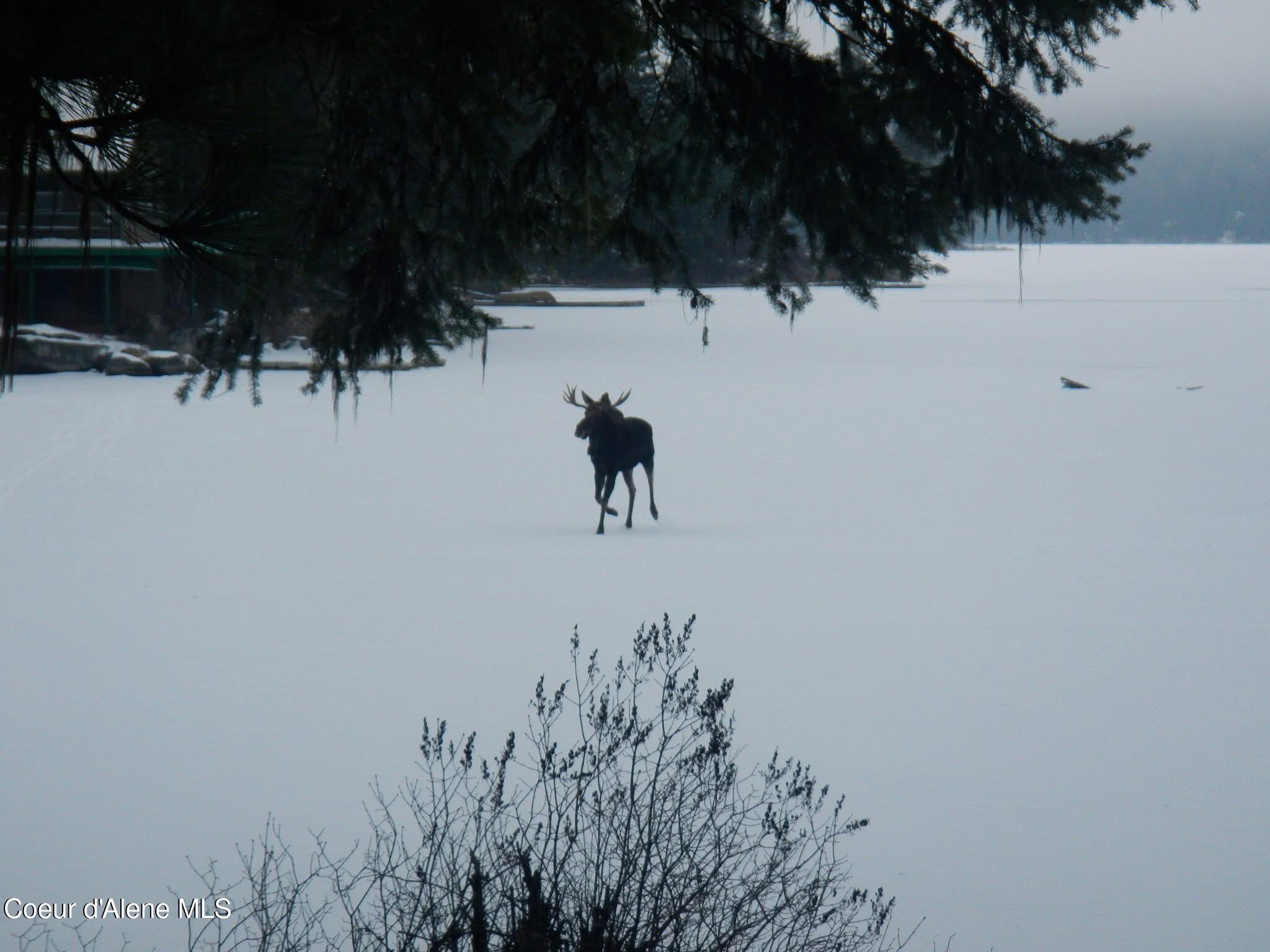 50 W Poirier Rd, Newport, Alaska image 48