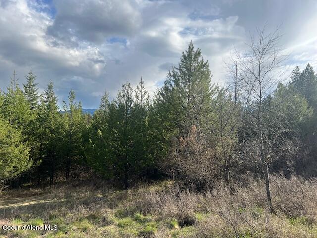 630 Willow Loop, Fernwood, Idaho image 7