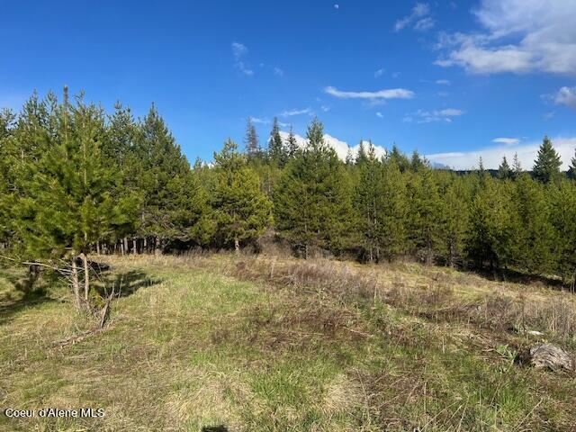 630 Willow Loop, Fernwood, Idaho image 2