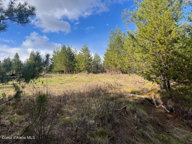 630 Willow Loop, Fernwood, Idaho image 3