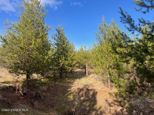 630 Willow Loop, Fernwood, Idaho image 4