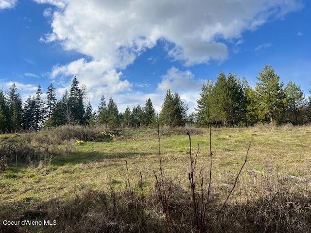 630 Willow Loop, Fernwood, Idaho image 1