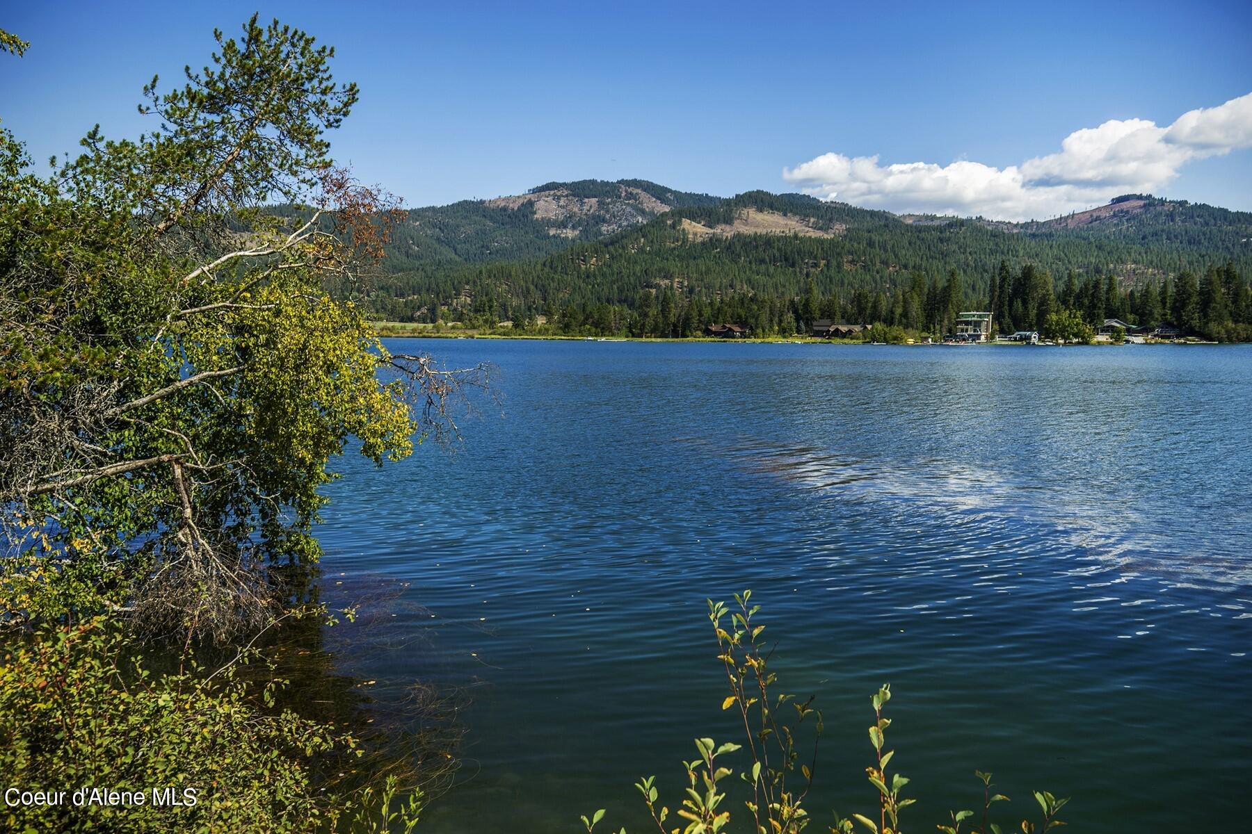 NKA Fernandes Ct, Priest River, Idaho image 33