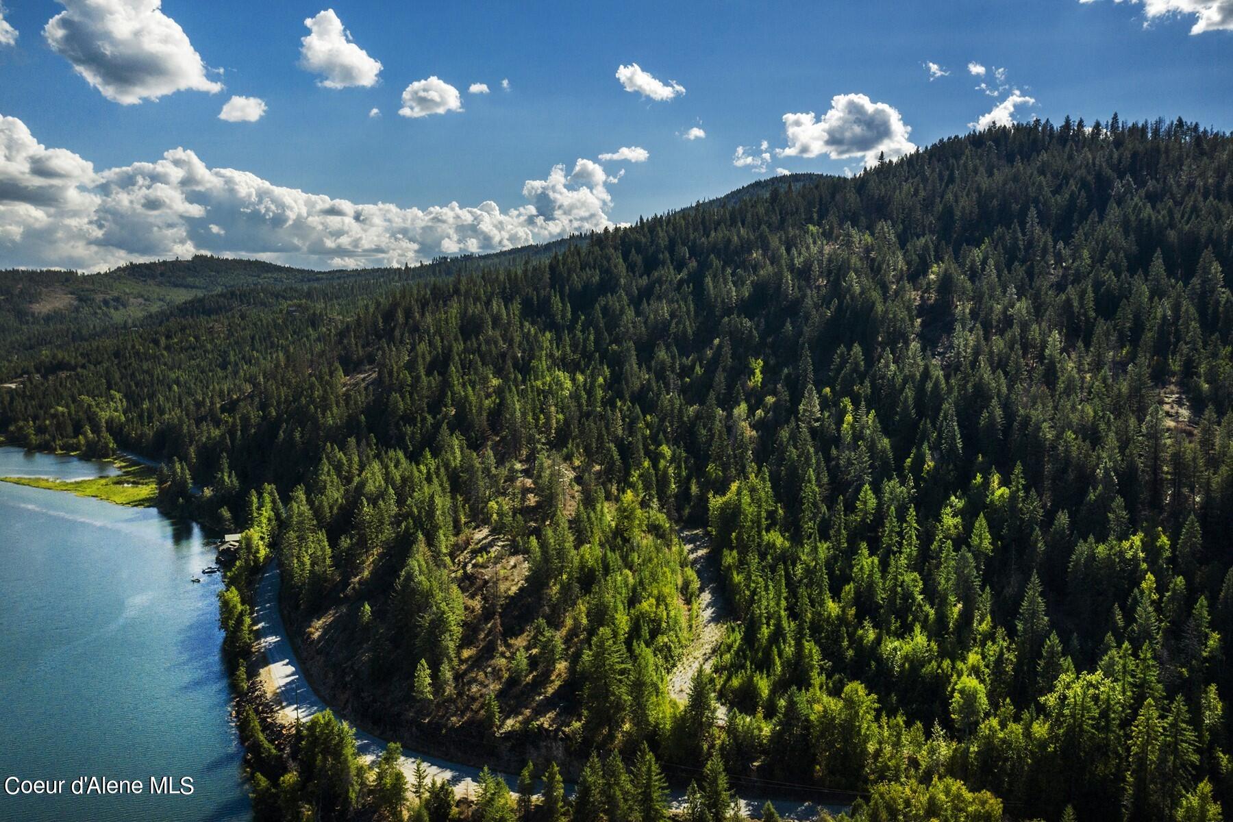 NKA Fernandes Ct, Priest River, Idaho image 3