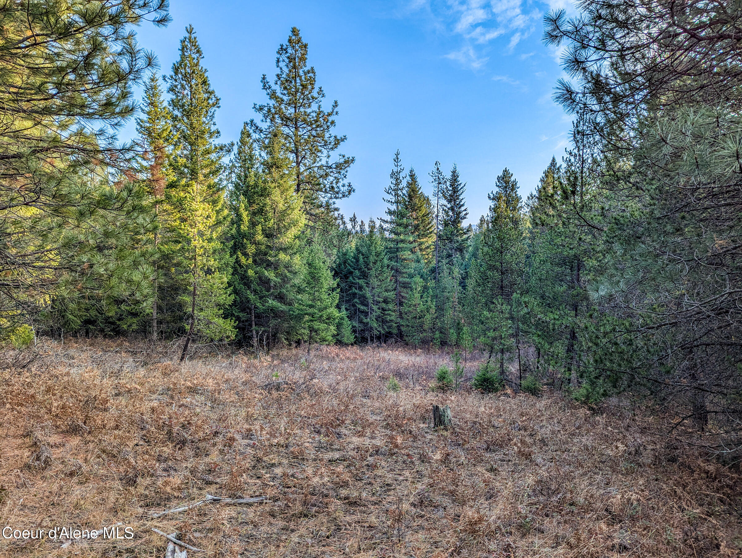 Lot 10 Saddleback Dr, Naples, Idaho image 8