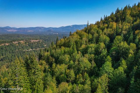 Vacant Land For Sale - NNA Bodie Canyon Rd. Rd<br/> Priest River, ID 83856