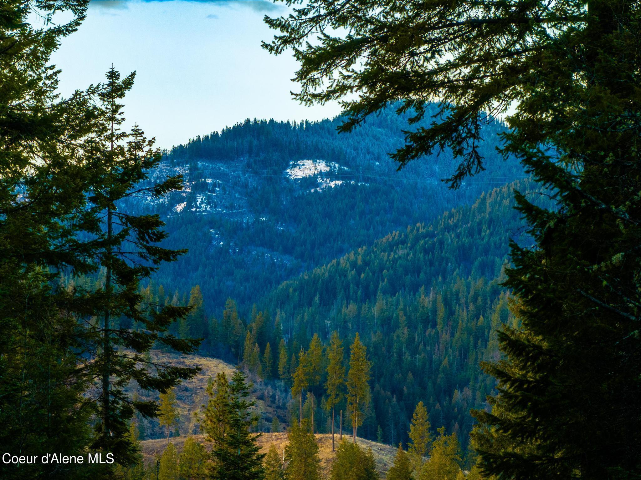 L2 B1 Upper Wildcat Road, Hayden, Idaho image 24