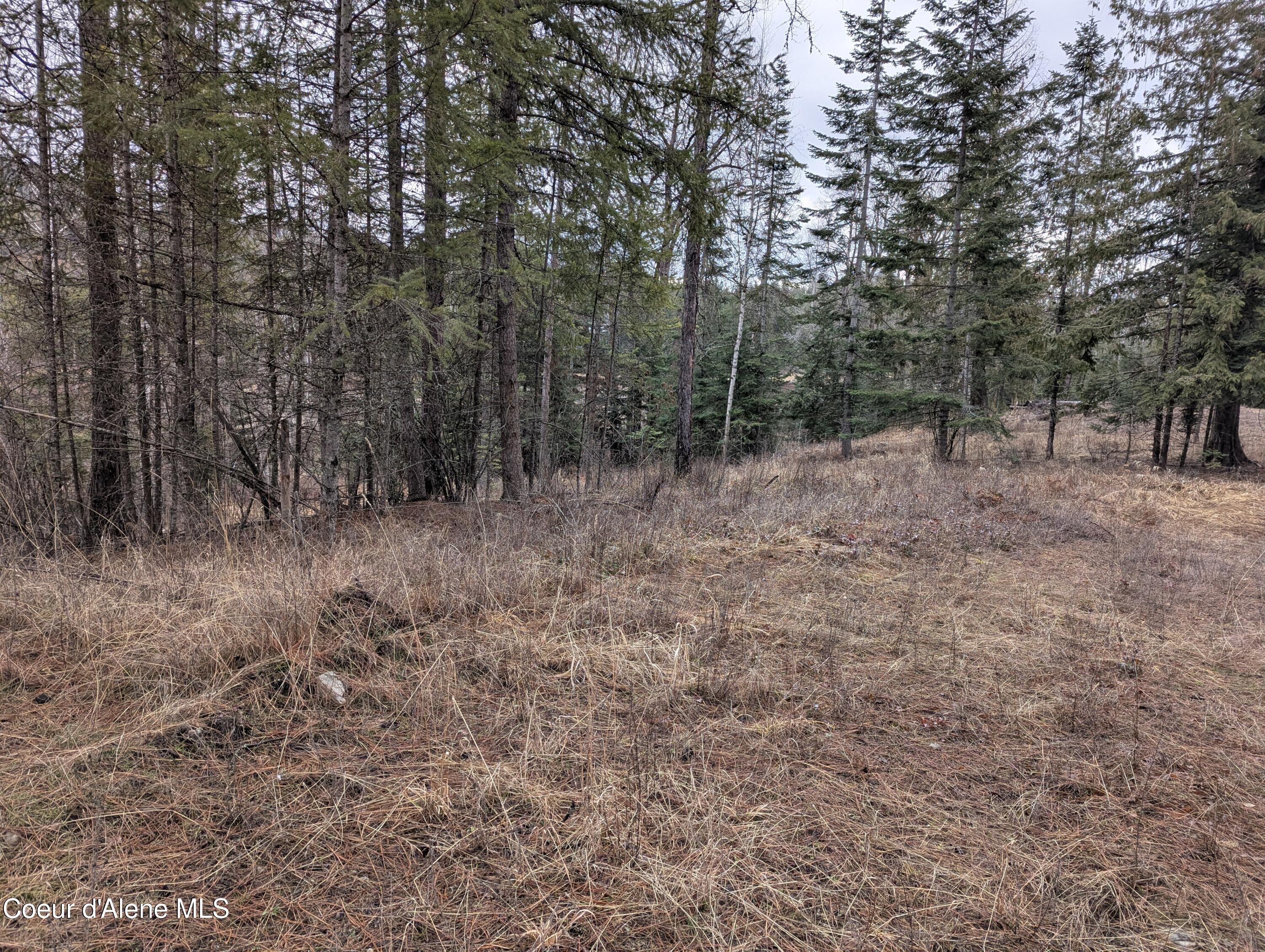 NNA Sunnyside Rd, Sandpoint, Idaho image 22