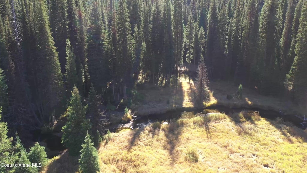 Photo of Parcel 1 South Fork Spruce Creek Creek, unincorporated, ID 83525 (MLS # 26-7612)