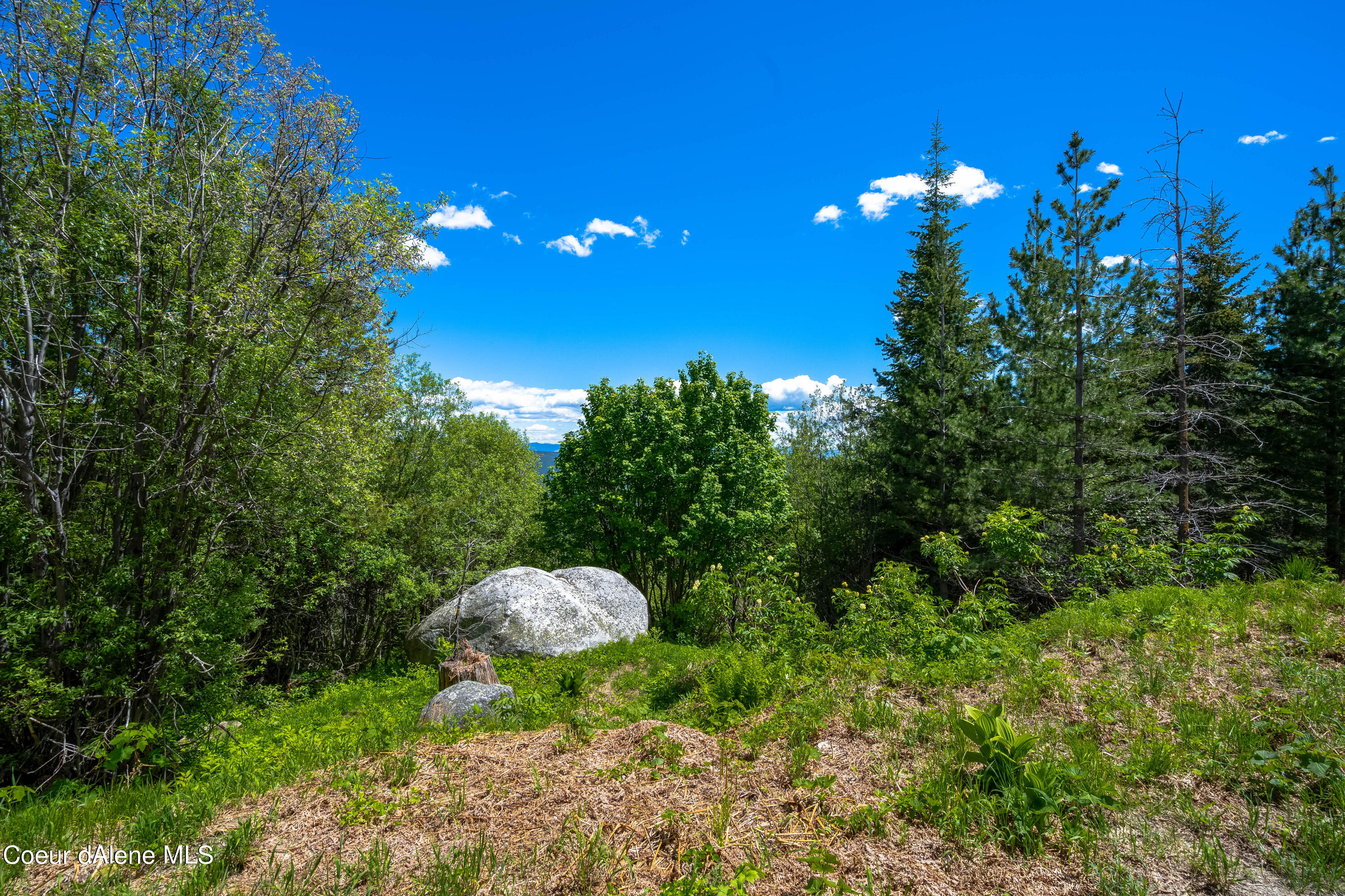 NKA 160 Acres Jeru Creek, Sandpoint, Idaho image 8