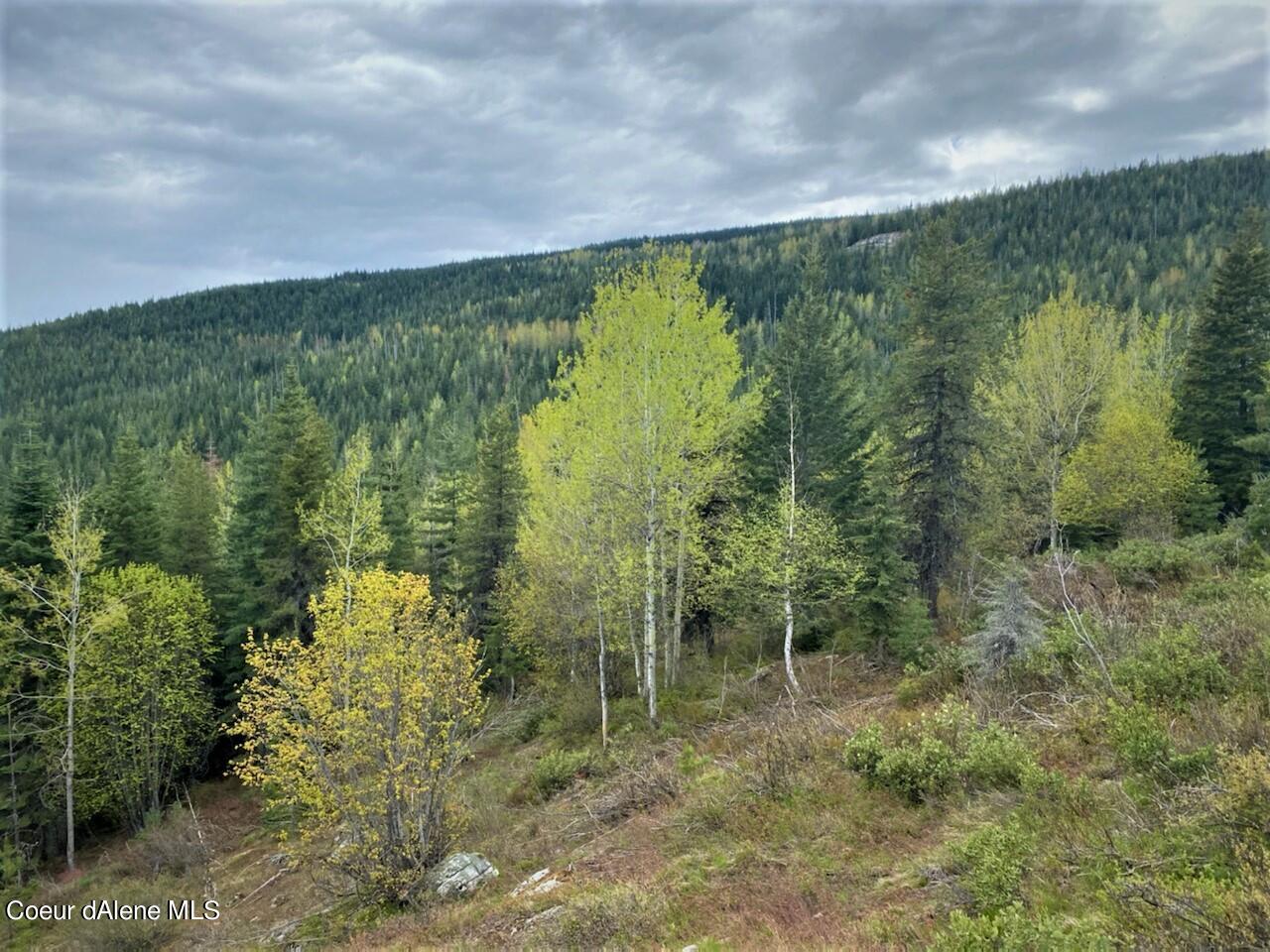 NKA 160 Acres Jeru Creek, Sandpoint, Idaho image 5