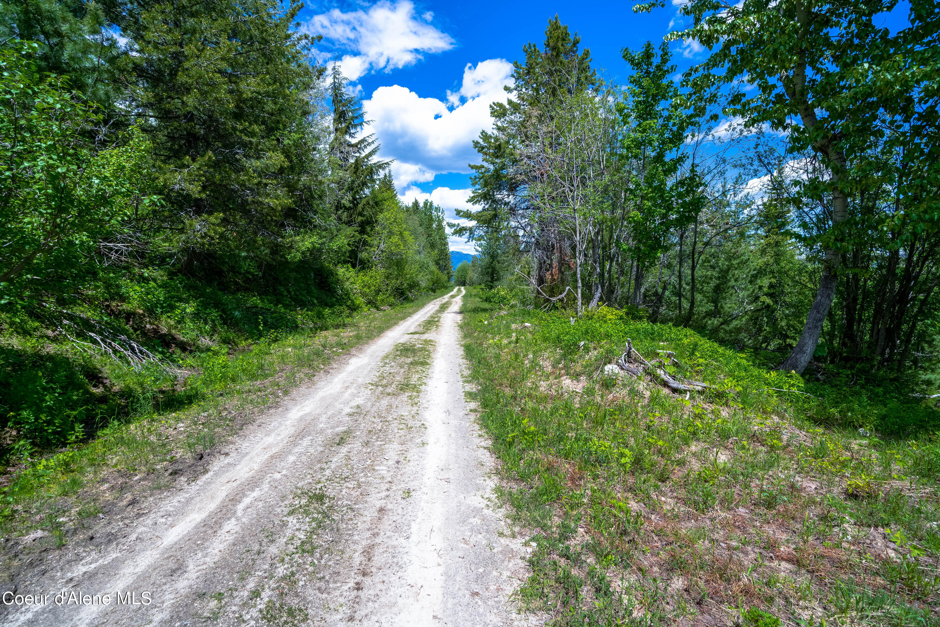 NKA 160 Acres Jeru Creek, Sandpoint, Idaho image 12