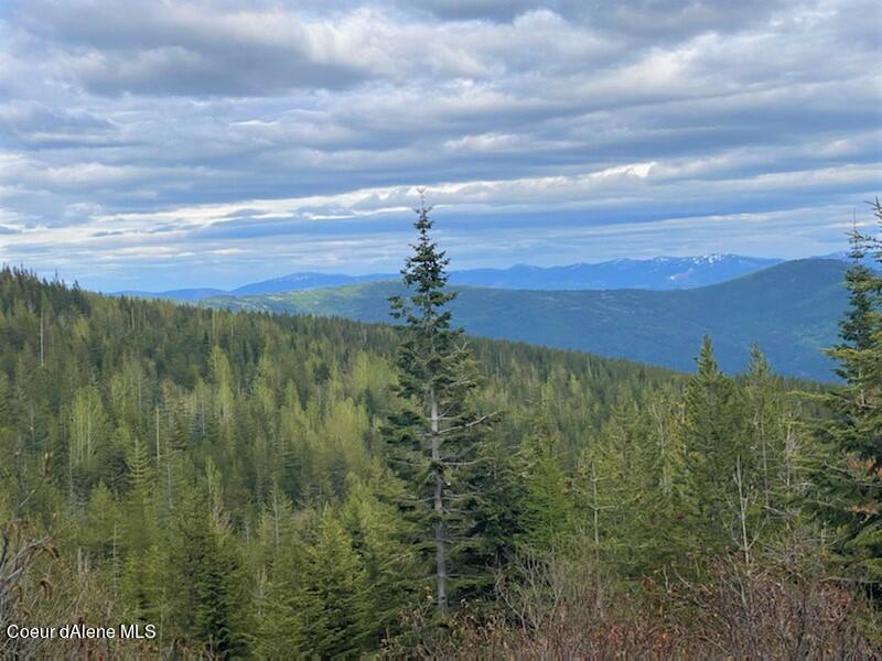 NKA 160 Acres Jeru Creek, Sandpoint, Idaho image 6