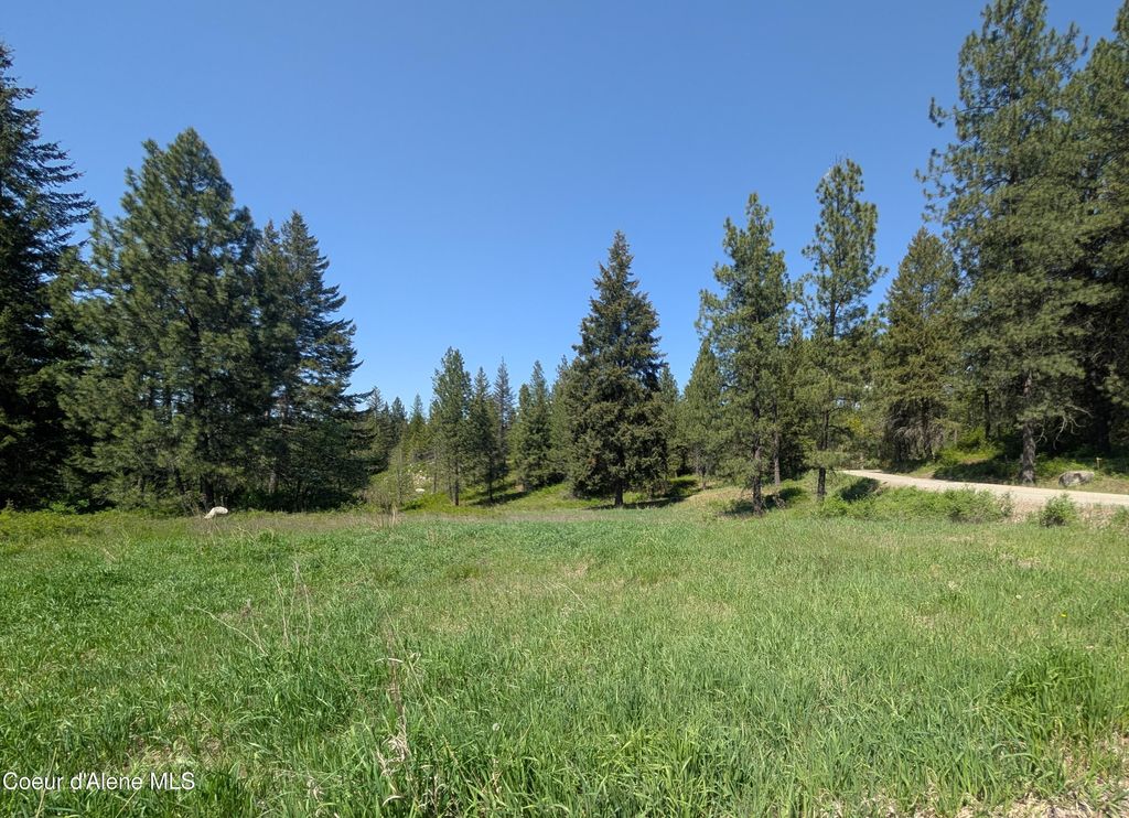 Photo of 83 Catan LN, Bonners Ferry, ID 83805 (MLS # 26-5002)