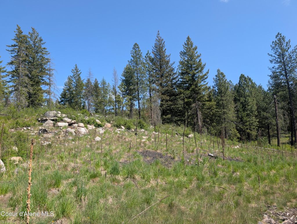 Photo of 83 Catan LN, Bonners Ferry, ID 83805 (MLS # 26-5002)