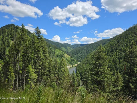 Vacant Land For Sale - 480 Dunn Peak<br/> Avery, ID 83802