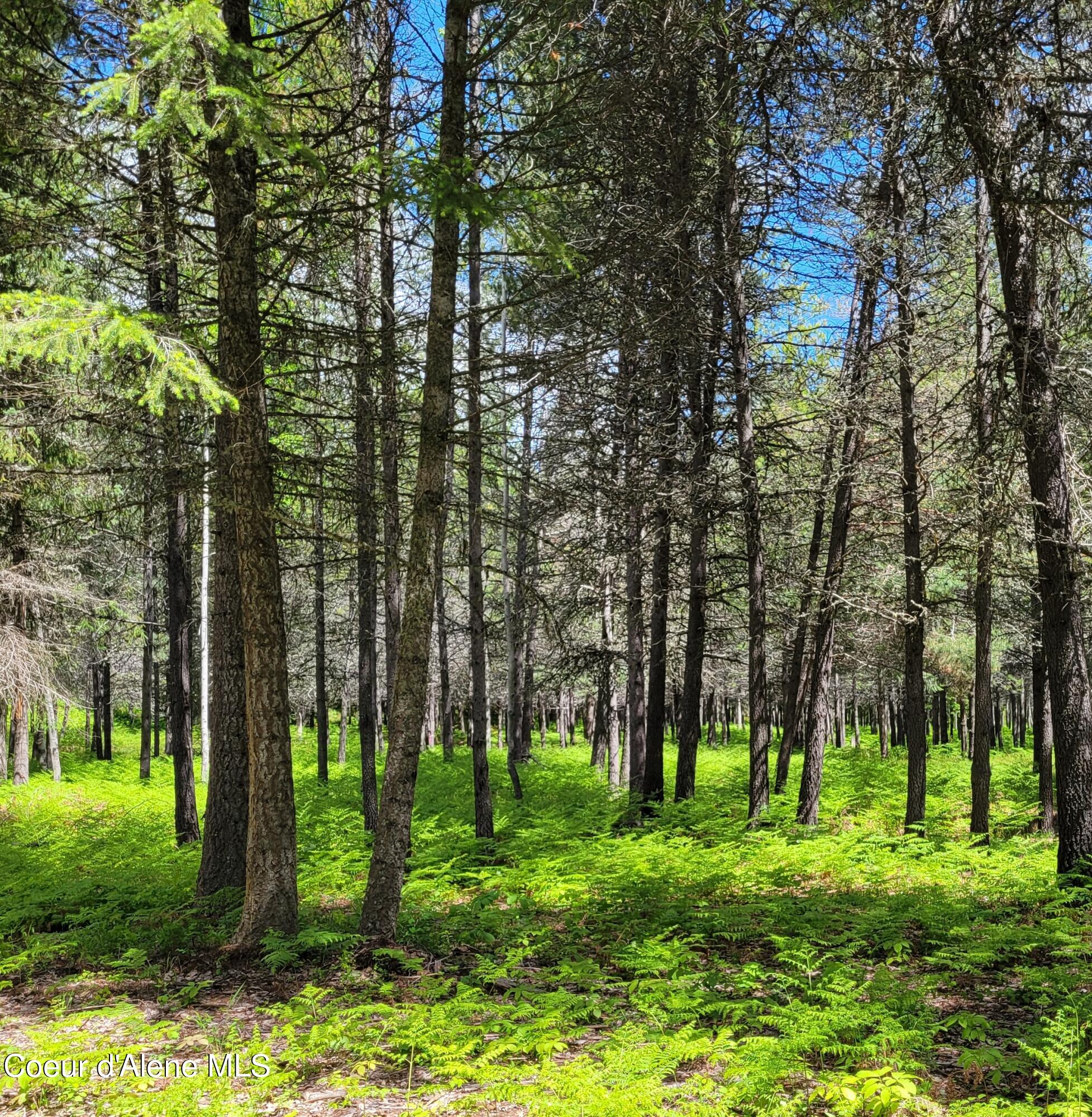 150 Ranch, Naples, Idaho image 10