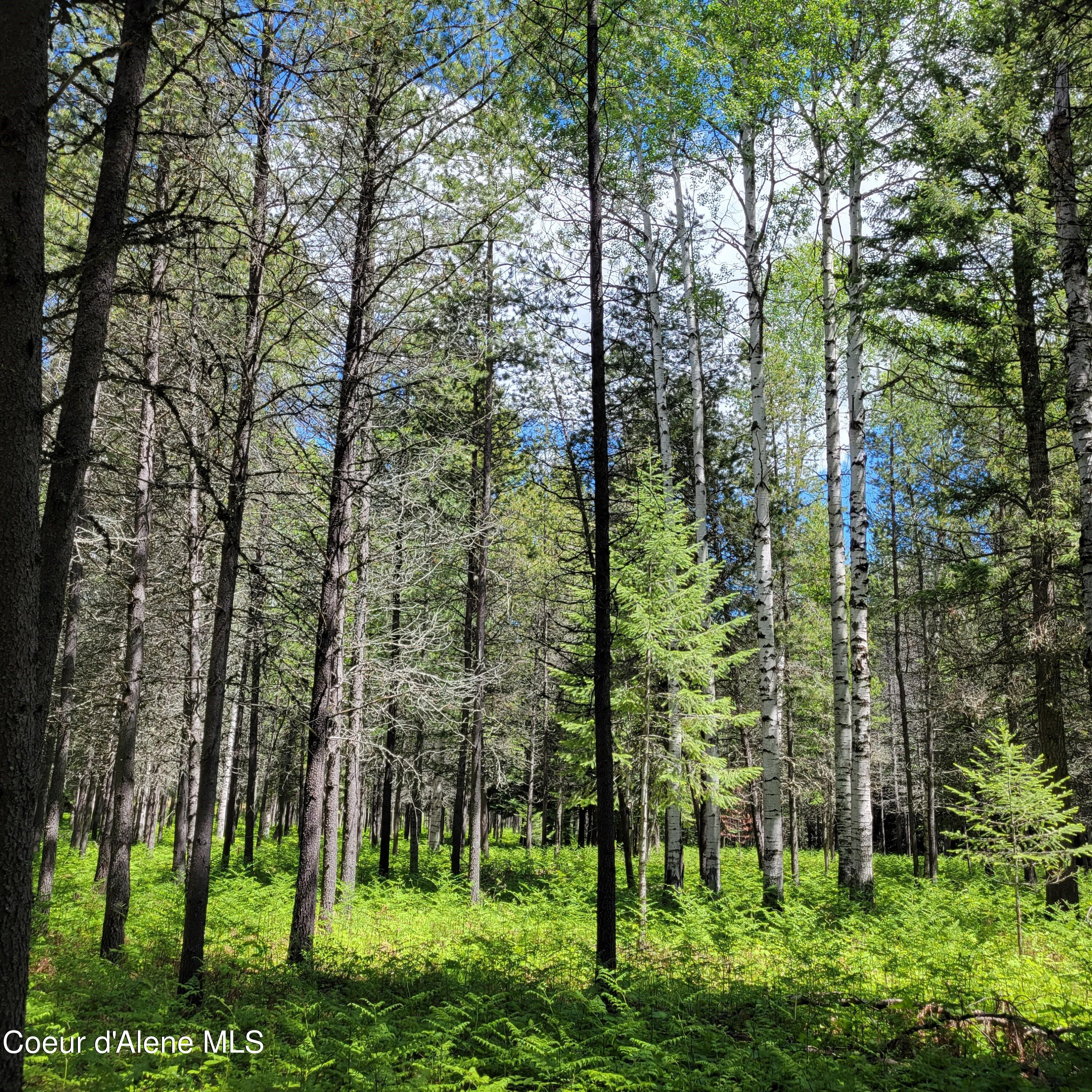 150 Ranch, Naples, Idaho image 18