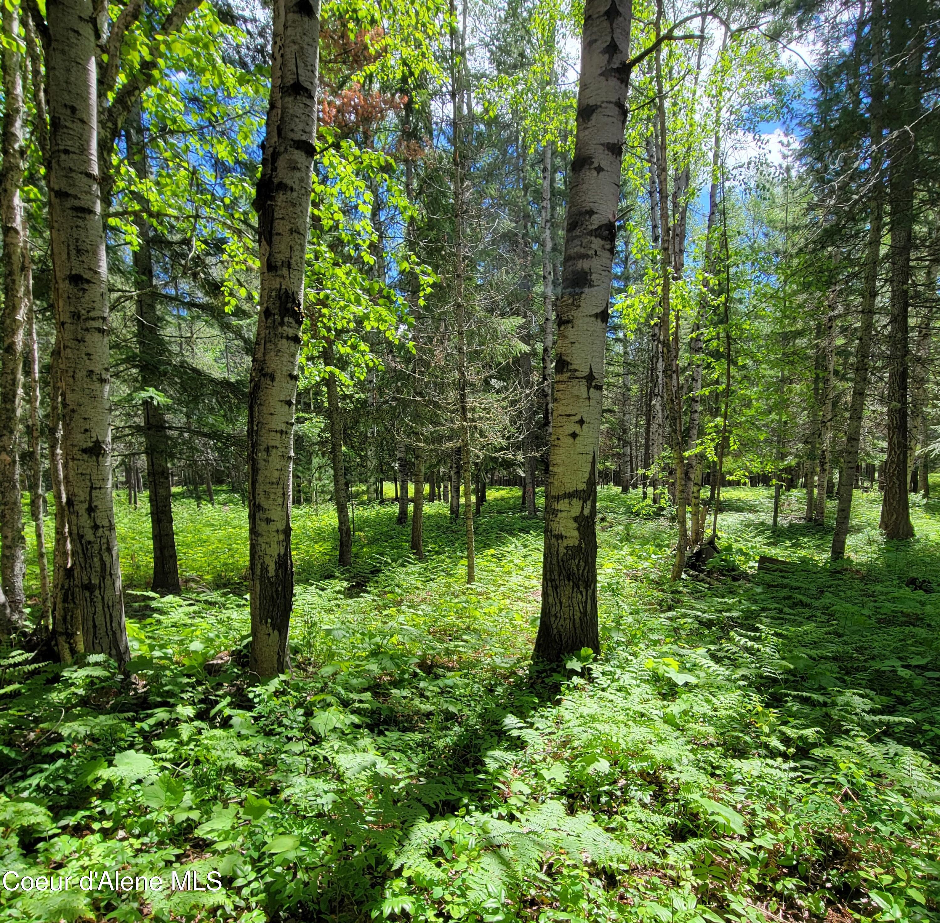 150 Ranch, Naples, Idaho image 15