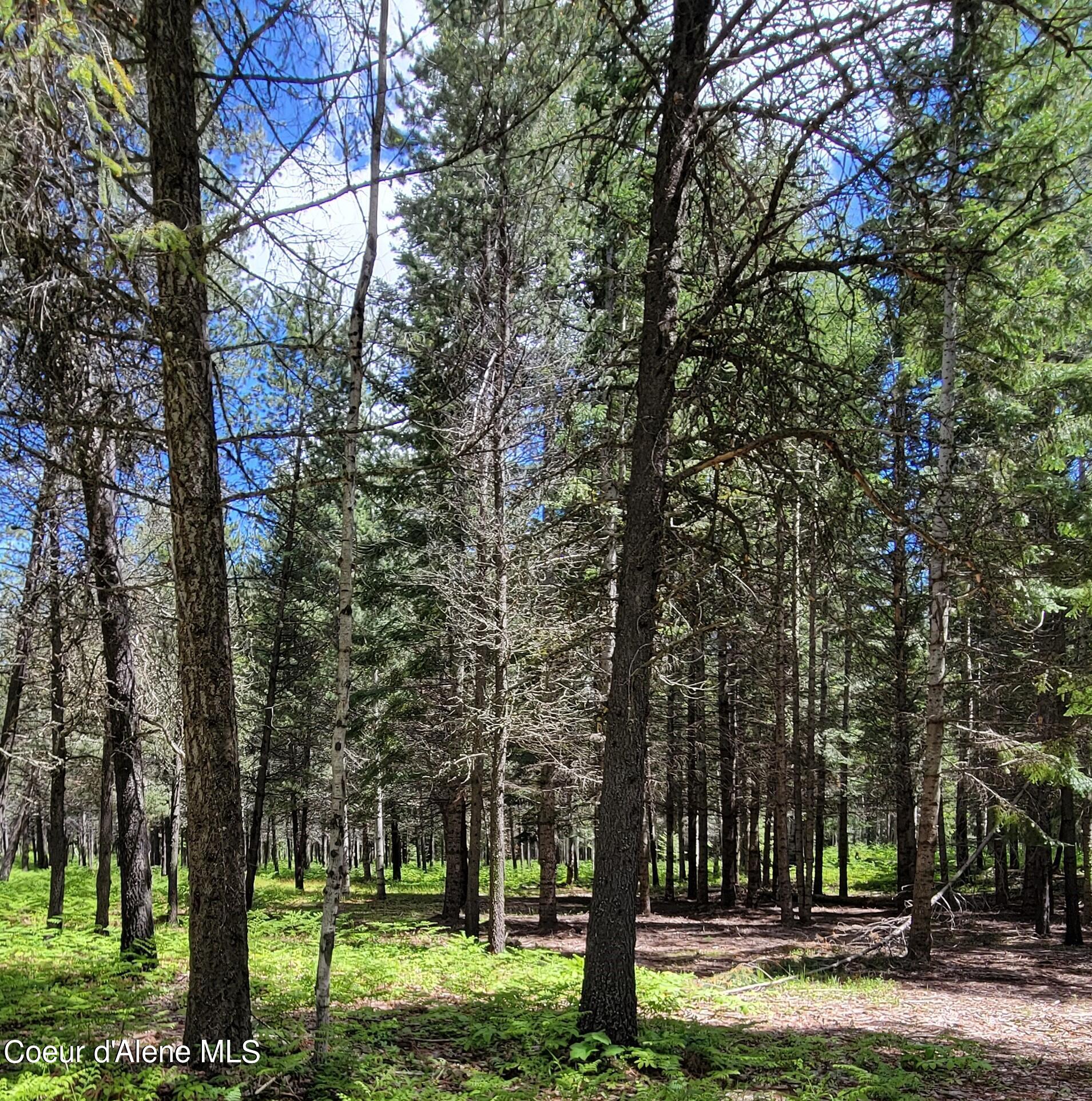 150 Ranch, Naples, Idaho image 13