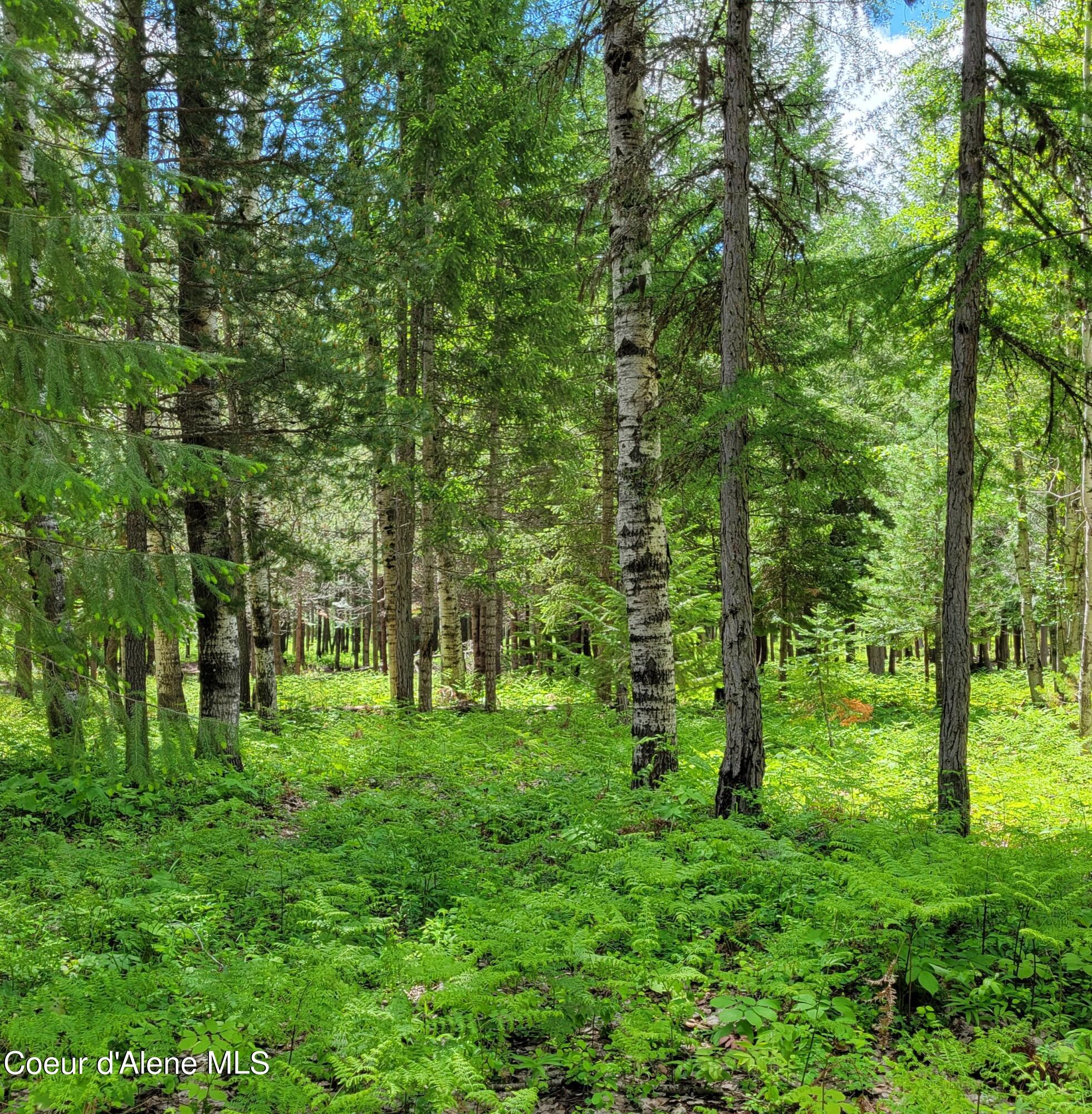 150 Ranch, Naples, Idaho image 9