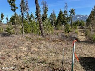 8 Splendor Mount, Bonners Ferry, Idaho image 40