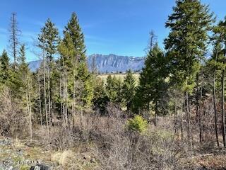 8 Splendor Mount, Bonners Ferry, Idaho image 22