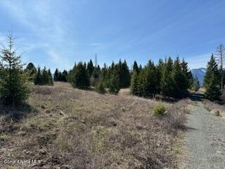 8 Splendor Mount, Bonners Ferry, Idaho image 16