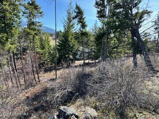 8 Splendor Mount, Bonners Ferry, Idaho image 21