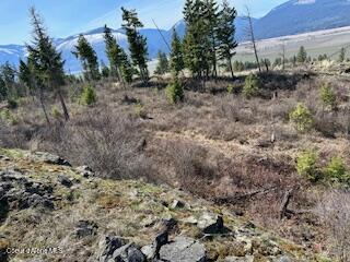 8 Splendor Mount, Bonners Ferry, Idaho image 19