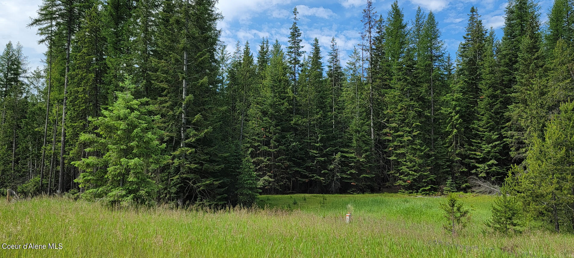 NNA Curley Creek, Moyie Springs, Idaho image 1