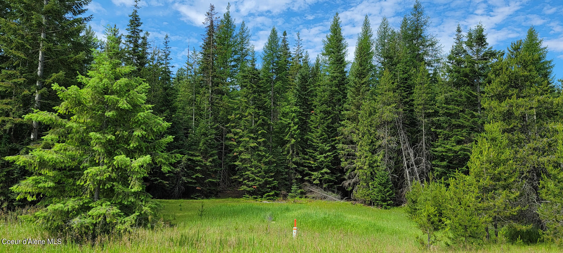 NNA Curley Creek, Moyie Springs, Idaho image 3