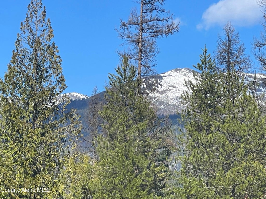 Photo of NNA Wolverine, Moyie Springs, ID 83845 (MLS # 26-9434)