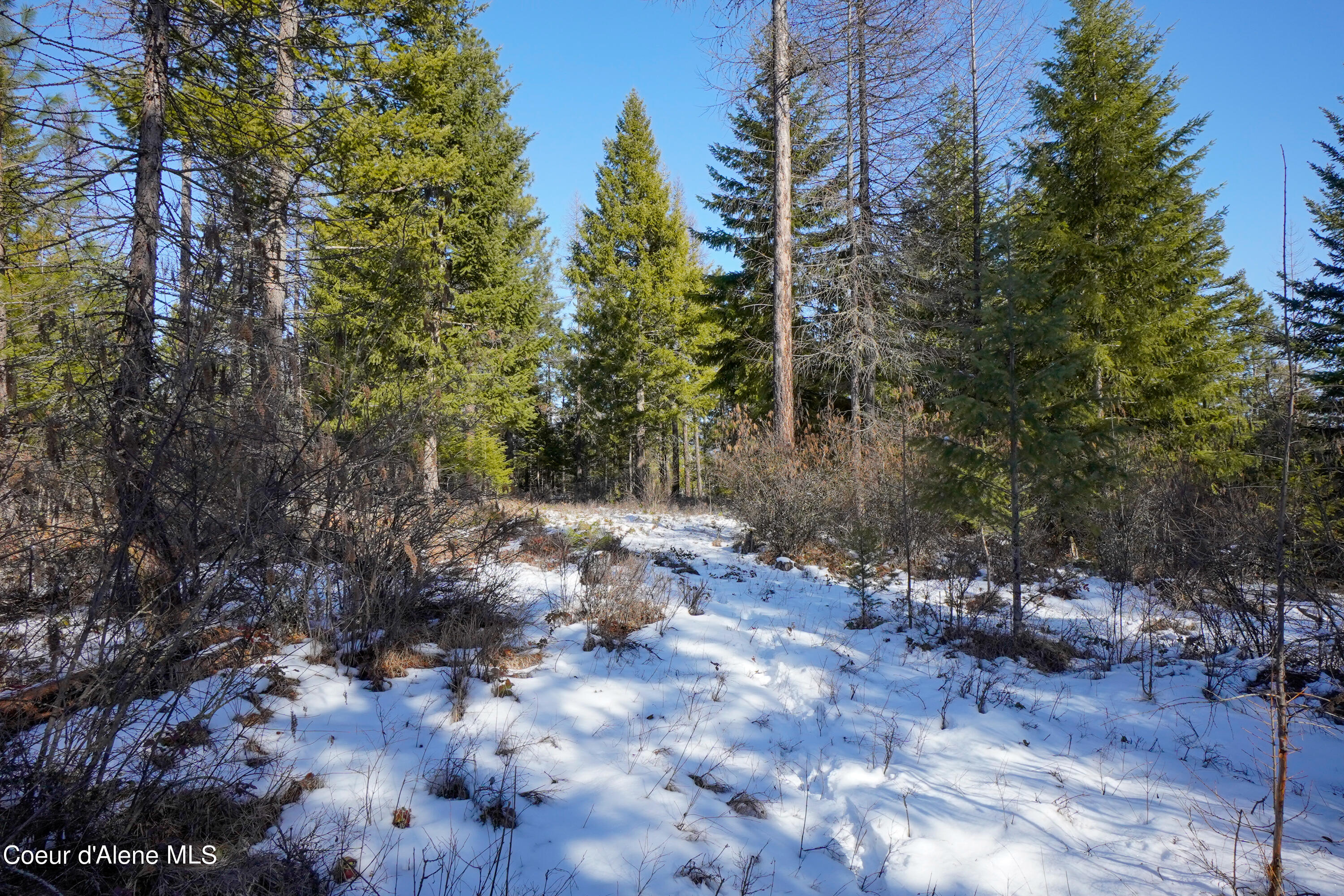 NNA Holmes Rd, Bonners Ferry, Idaho image 9