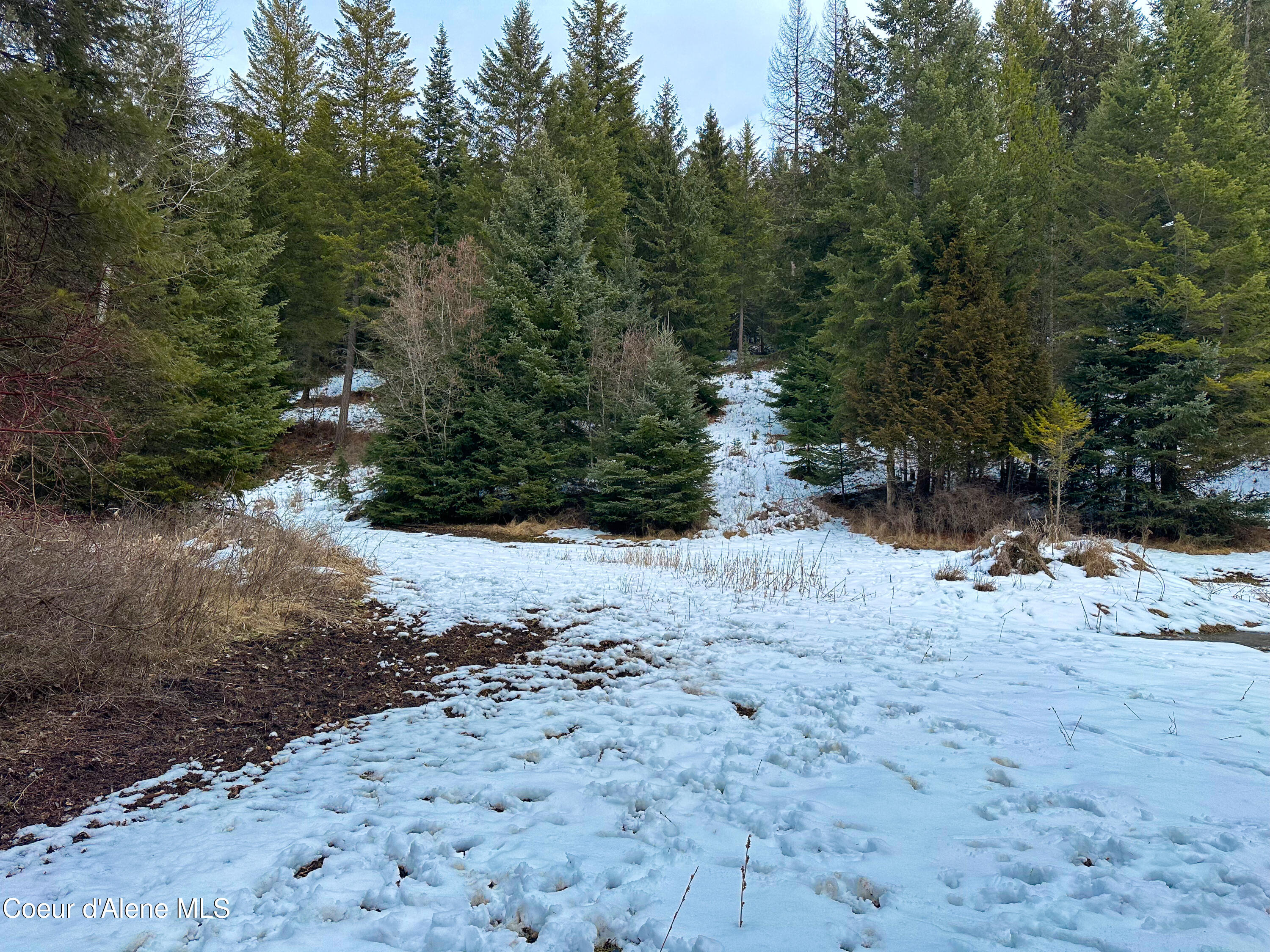 NNA Holmes Rd, Bonners Ferry, Idaho image 5