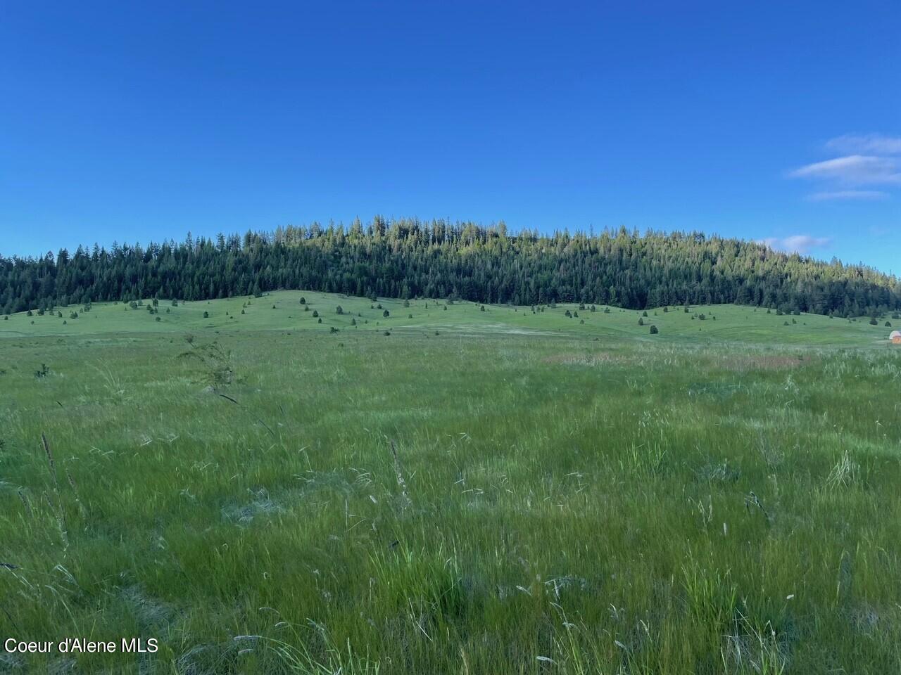 Lot A Merideth Rd, Plummer, Idaho image 14