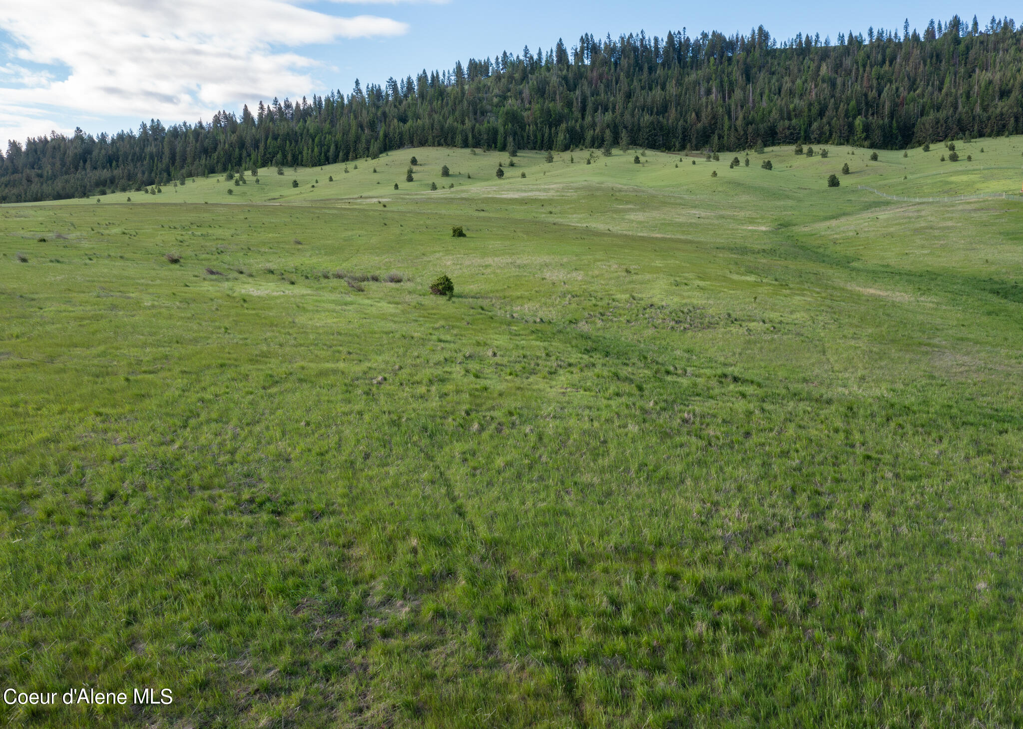 Lot A Merideth Rd, Plummer, Idaho image 6