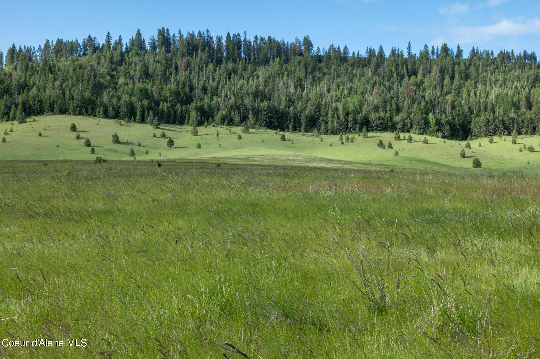 Lot A Merideth Rd, Plummer, Idaho image 16