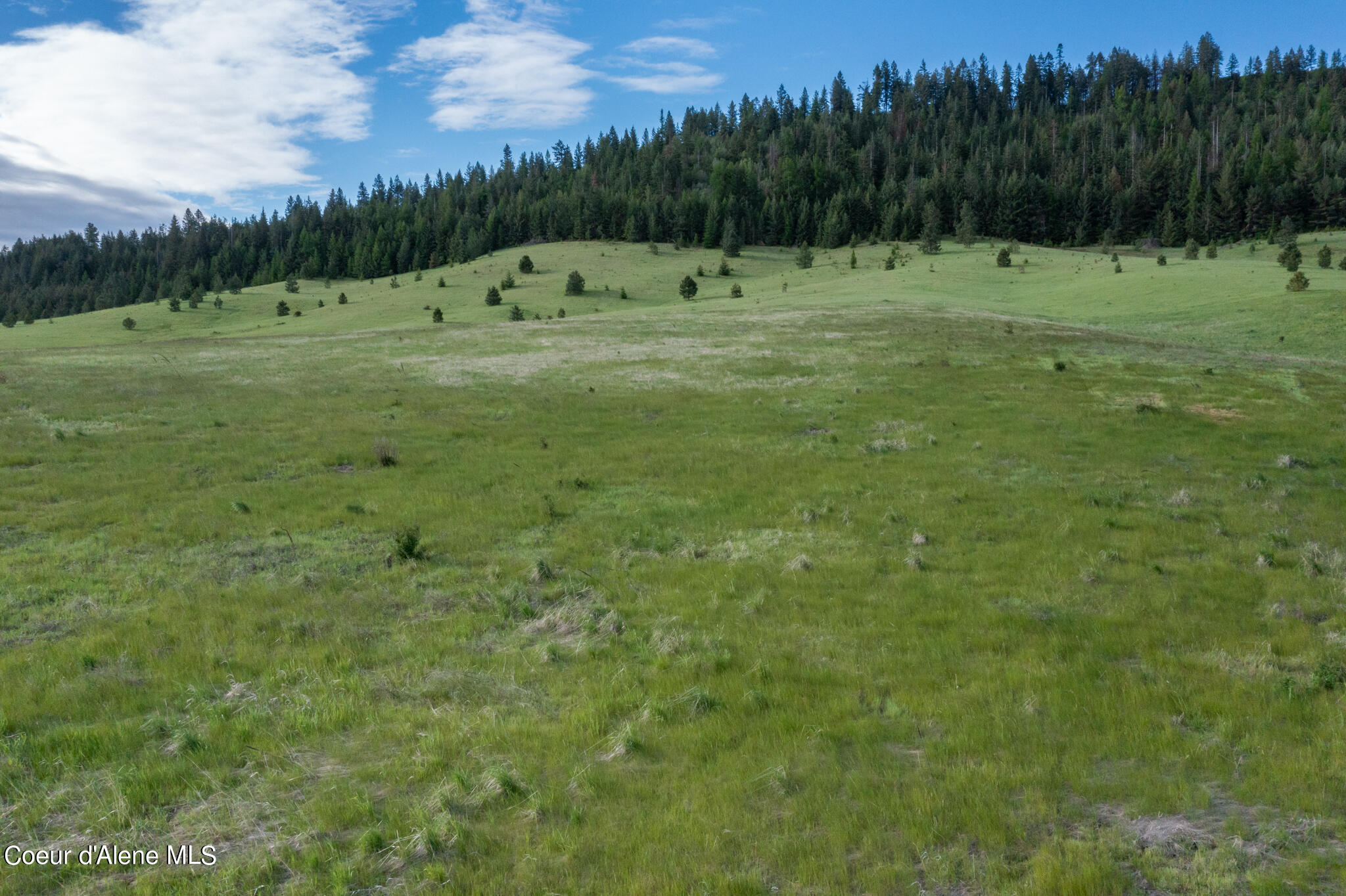 Lot A Merideth Rd, Plummer, Idaho image 19