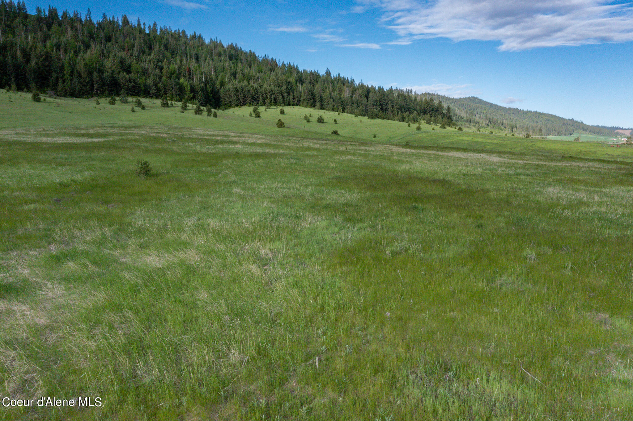 Lot A Merideth Rd, Plummer, Idaho image 7