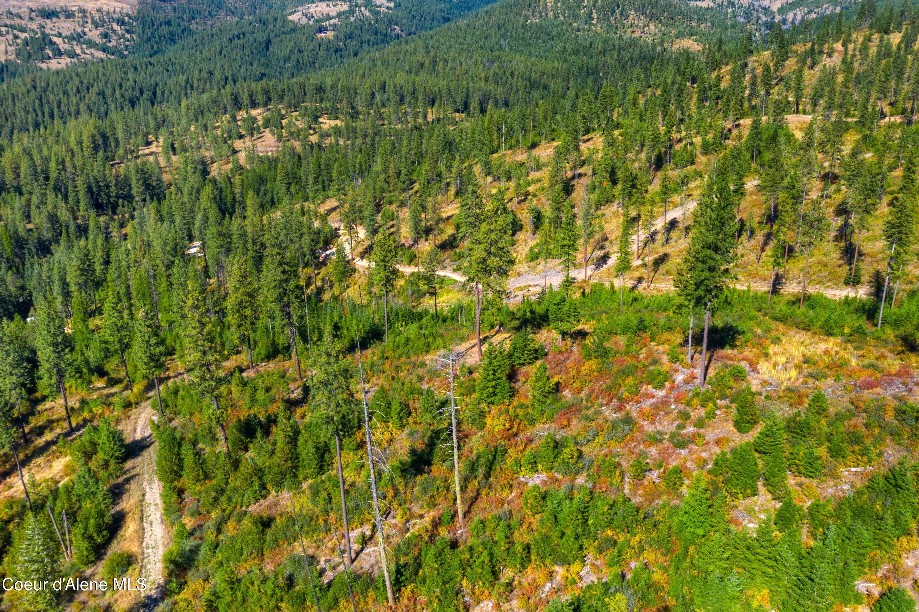 NNA Stone Rd Lot 2, Blanchard, Idaho image 19